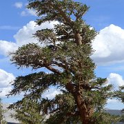SouthernSierra 658 : SouthernSierra